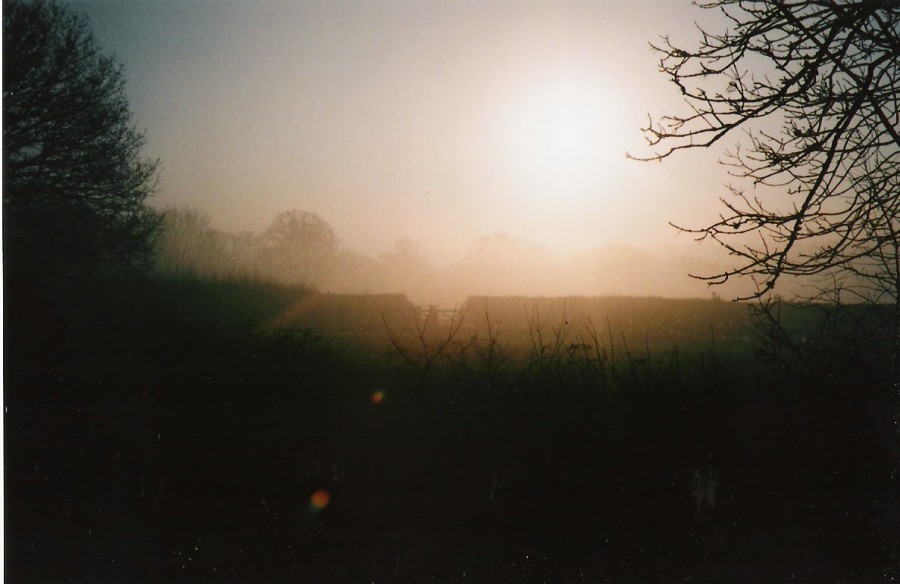 Morning scene in buriton near petersfield