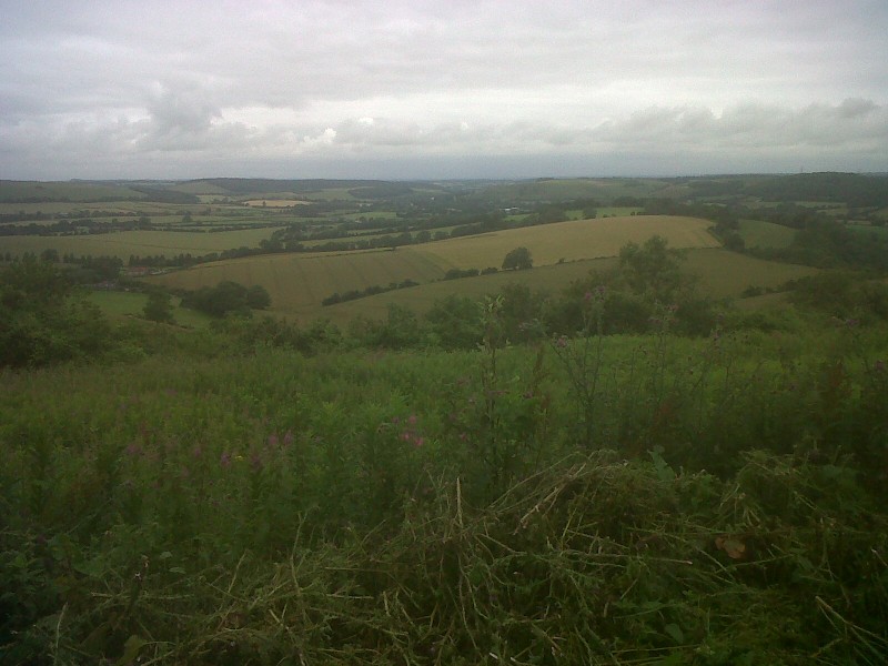 View west from Butser Hill, Petersfield